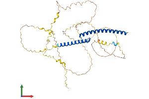 AlphaFold protein structure predicition of Mouse Recombinant Mycs Protein, UniprotID Q9Z304 (Myc-Like Oncogene, S-Myc Protein (MYCS) (AA 1-431) protein (His tag))