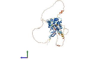Protein Structure (PS) image for Male-Specific Lethal 3 Homolog (MSL3) (AA 1-521) protein (His tag) (ABIN7554615)
