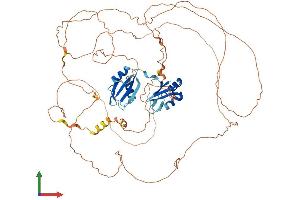 Protein Structure (PS) image for RNA Binding Motif Protein 14 (RBM14) (AA 1-669) protein (His tag) (ABIN7551214)