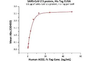 Immobilized SARS-CoV-2 S protein, His Tag (ABIN6973219) at 1 μg/mL (100 μL/well) can bind Human ACE2, Fc Tag (ABIN6952459,ABIN6952465) with a linear range of 0.