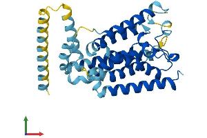 AlphaFold protein structure predicition of Human Recombinant RHBDL2 Protein, UniprotID Q9NX52 (RHBDL2 Protein (AA 1-303) (His tag))