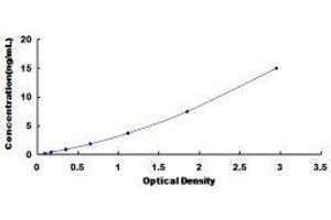 Typical standard curve (HSPD1 ELISA Kit)