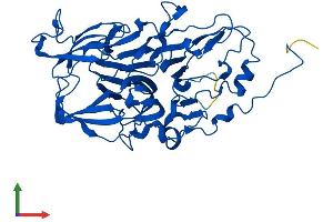 Protein Structure (PS) image for Homogentisate 1,2-Dioxygenase (HGD) (AA 1-445) protein (His tag) (ABIN7562256)