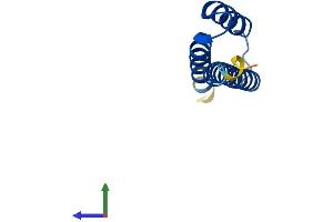 AlphaFold protein structure predicition of Human Recombinant ETFRF1 Protein, UniprotID Q6IPR1