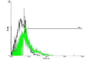 FACS analysis of negative control 293 cells (Black) and GPR77 expressing 293 cells (Green) using GPR77 purified MaxPab mouse polyclonal antibody.