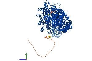 AlphaFold protein structure predicition of Mouse Recombinant Npepps Protein, UniprotID Q11011 (NPEPPS Protein (AA 1-920) (His tag))