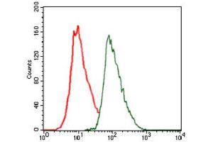 Flow Cytometry (FACS) image for anti-CCAAT/enhancer Binding Protein (C/EBP), alpha (CEBPA) antibody (ABIN1845796) (CEBPA antibody)