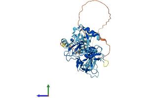 AlphaFold protein structure predicition of Human Recombinant PRKN Protein, UniprotID O60260 (Parkin Protein (AA 1-465) (His tag))