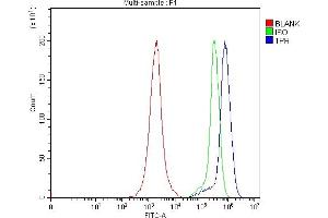 Flow Cytometry analysis of Jurkat cells using anti-TPR antibody (ABIN7603243).