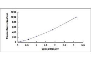 Typical standard curve (TNFRSF4 ELISA Kit)