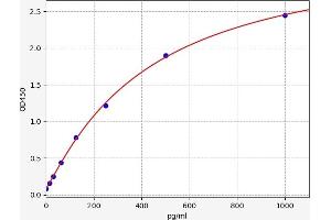 Reelin ELISA Kit