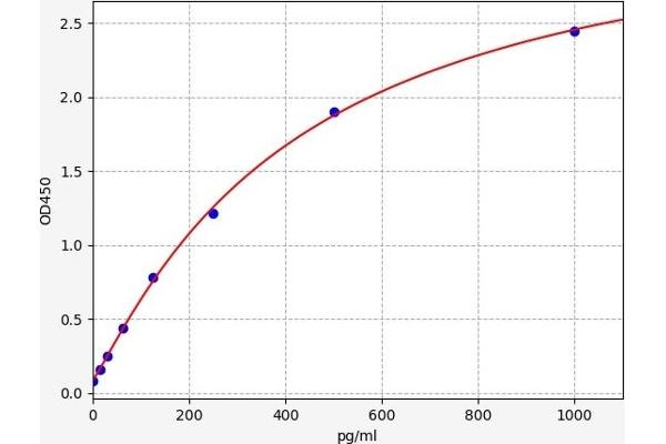 Reelin ELISA Kit