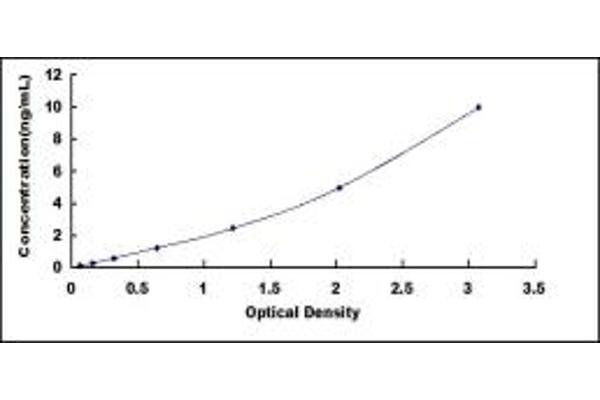 BRCA1 ELISA Kit