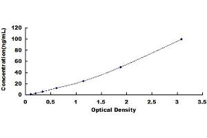 Typical standard curve (HSPA1L ELISA Kit)