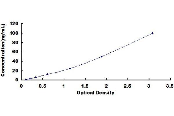 HSPA1L ELISA Kit