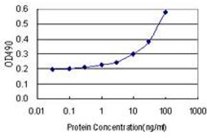 Sandwich ELISA detection sensitivity ranging from 3 ng/mL to 100 ng/mL. (SNAI1 (Human) Matched Antibody Pair)