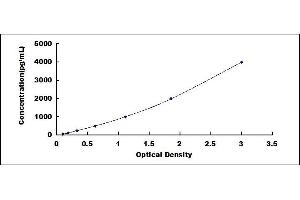 Typical standard curve (COL6A1 ELISA Kit)