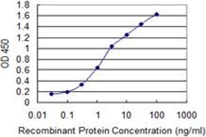 Detection limit for recombinant GST tagged ADCYAP1R1 is 0. (ADCYAP1R1 antibody  (AA 21-120))