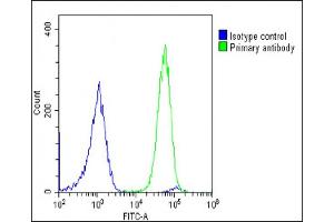 Overlay histogram showing U-2 OS cells stained with (ABIN6243670 and ABIN6578877)(green line). (Grancalcin antibody  (AA 19-53))