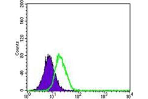 Flow cytometric analysis of HepG2 cells using PPY mouse mAb (green) and negative control (purple). (PPY antibody  (AA 1-95))