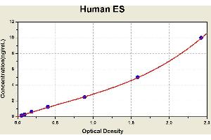 Diagramm of the ELISA kit to detect Human ESwith the optical density on the x-axis and the concentration on the y-axis. (COL18A1 ELISA Kit)