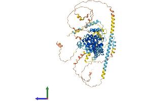 AlphaFold protein structure predicition of Mouse Recombinant Las1l Protein, UniprotID A2BE28