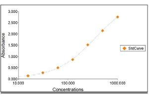 Standard Curve Graph (Lipocalin 2 ELISA Kit)