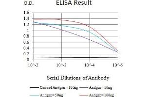 Black line: Control Antigen (100 ng),Purple line: Antigen (10 ng), Blue line: Antigen (50 ng), Red line:Antigen (100 ng) (L1CAM antibody  (AA 20-197))