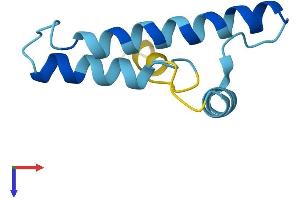 Coiled-Coil-Helix-Coiled-Coil-Helix Domain Containing 7 (CHCHD7) (AA 1-85) protein (His tag)