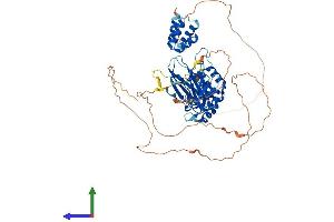 Protein Structure (PS) image for Protein Inhibitor of Activated STAT, 2 (PIAS2) (AA 1-621) protein (His tag) (ABIN7564515)