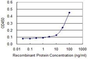 Detection limit for recombinant GST tagged PURA is approximately 10ng/ml as a capture antibody. (PURA antibody  (AA 183-292))