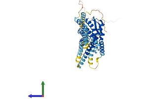 AlphaFold protein structure predicition of Human Recombinant RXFP4 Protein, UniprotID Q8TDU9 (RXFP4 Protein (AA 1-374) (His tag))