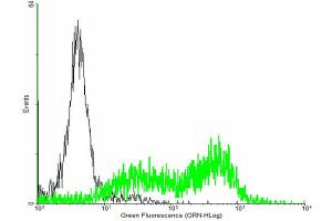 FACS analysis of negative control 293 cells (Black) and HFE expressing 293 cells (Green) using HFE purified MaxPab mouse polyclonal antibody. (HFE antibody  (AA 1-348))