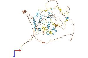 AlphaFold protein structure predicition of Human Recombinant ZCCHC7 Protein, UniprotID Q8N3Z6 (ZCCHC7 Protein (AA 1-543) (His tag))