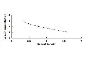 Typical standard curve (Adrenomedullin ELISA Kit)