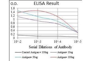 Black line: Control Antigen (100 ng), Purple line: Antigen(10 ng), Blue line: Antigen (50 ng), Red line: Antigen (100 ng), (CD74 antibody  (AA 1-106))