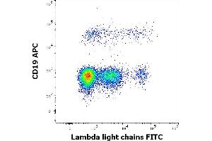 Flow cytometry multicolor surface staining of human lymphocytes stained using anti-human Lambda Light Chain (1-155-2) FITC antibody (4 μL reagent / 100 μL of peripheral whole blood) and anti-human CD19 (LT19) APC antibody (10 μL reagent / 100 μL of peripheral whole blood).