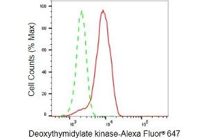 Flow cytometric analysis of Deoxythymidylate kinase expression in HeLa cells using Deoxythymidylate kinase antibody (ABIN7798311), 1:2,000).