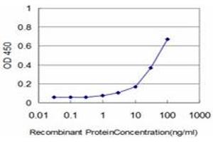 Detection limit for recombinant GST tagged KCNE1 is approximately 3ng/ml as a capture antibody. (KCNE1 antibody  (AA 67-129))