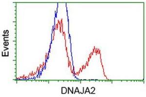 HEK293T cells transfected with either RC202204 overexpress plasmid (Red) or empty vector control plasmid (Blue) were immunostained by anti-DNAJA2 antibody (ABIN2452950), and then analyzed by flow cytometry. (DNAJA2 antibody)