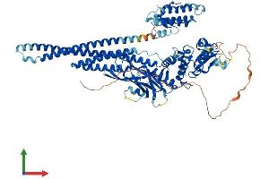 AlphaFold protein structure predicition of Human Recombinant STAT5B Protein, UniprotID P51692
