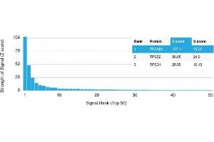 Analysis of Protein Array containing more than 19,000 full-length human proteins using Tryptase Mouse Monoclonal Antibody (TPSAB1/1961). (TPSAB1 antibody  (AA 115-233))