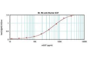 Image no. 2 for anti-KIT Ligand (KITLG) antibody (Biotin) (ABIN465801) (KIT Ligand antibody  (Biotin))