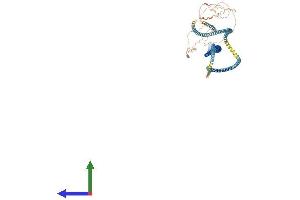 AlphaFold protein structure predicition of Mouse Recombinant Sycp1 Protein, UniprotID Q62209