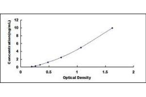 Typical standard curve (ALOX15B ELISA Kit)