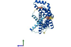AlphaFold protein structure predicition of Mouse Recombinant Slc35a1 Protein, UniprotID Q61420