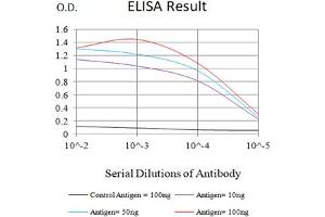 Black line: Control Antigen (100 ng),Purple line: Antigen (10 ng), Blue line: Antigen (50 ng), Red line:Antigen (100 ng) (ACRV1 antibody  (AA 22-265))