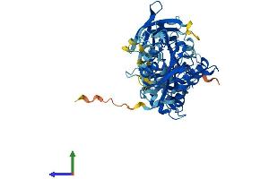 AlphaFold protein structure predicition of Mouse Recombinant Cpne6 Protein, UniprotID Q9Z140 (CPNE6 Protein (AA 1-557) (His tag))