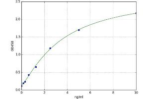 A typical standard curve (FAM20C ELISA Kit)