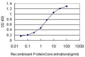 Detection limit for recombinant GST tagged MED8 is approximately 0. (MED8 antibody  (AA 1-59))